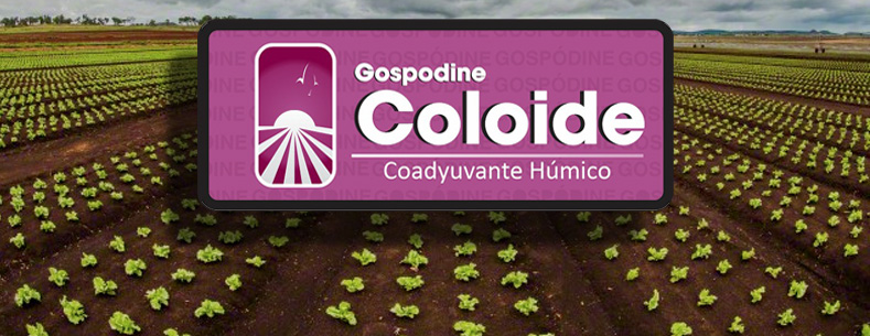 Coloide (RSCO-367/VIII/23)